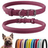 CollarDirect collar de cuero enrollado rosa liso para paseos diarios