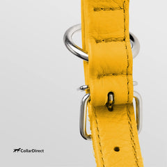 CollarDirect collar de cuero para perro pequeño, ajuste cómodo y seguro.