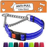 CollarDirect Martingale con cadena de acero inoxidable y cierre rápido, para entrenamiento diario.