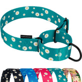 CollarDirect Martingale floral aguamarina: collar cómodo y resistente para paseos al aire libre.