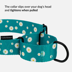 CollarDirect Martingale floral negro: diseño elegante y visibilidad mejorada en la ciudad.