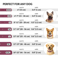 CollarDirect: collar para perro grande en rosa, duradero y resistente.