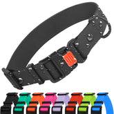 CollarDirect: collar impermeable para perros, ideal para paseos bajo lluvia.