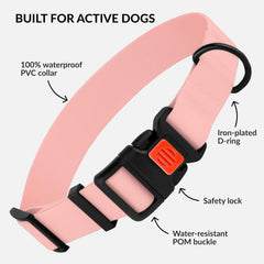 CollarDirect collar en colores vivos para perros, ideal para identificar estilo durante caminatas.