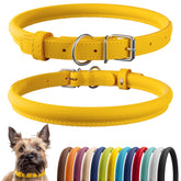 CollarDirect collar de cuero enrollado en amarillo suave, cómodo para pelo largo y fácil de limpiar.