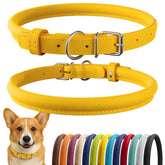 CollarDirect para perro, cuero enrollado suave, reduce enredos en pelaje largo