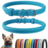 CollarDirect collar perro cuero enrollado, suave y cómodo para pelo largo.