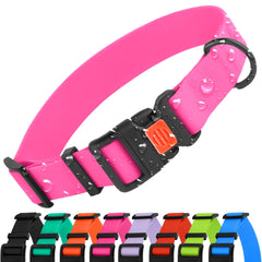 CollarDirect rosa ajustable, ideal para paseos al aire libre