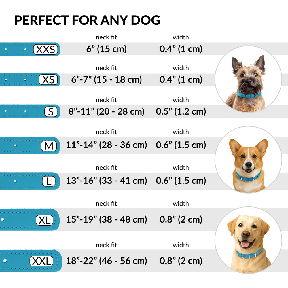 CollarDirect collar perro y gato cuero, disponible en varias tallas.