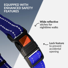 CollarDirect con hilo reflectante para mayor visibilidad nocturna.