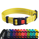 CollarDirect reflectante para perro amarillo, alta visibilidad nocturna para mayor seguridad.