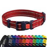 CollarDirect reflectivo en el cuello del perro, visibilidad nocturna mejorada.