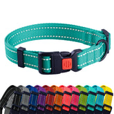 CollarDirect para perro pequeño, color verde menta y mayor visibilidad nocturna.