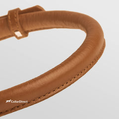 CollarDirect collar enrollado suave acolchado, ideal para uso diario con pelaje sensible.