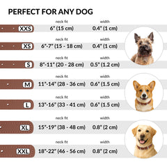 CollarDirect: opción multicolor que complementa la personalidad de cada mascota.