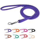 CollarDirect: correa enrollada de cuero negro de 6 pies para paseos firmes.