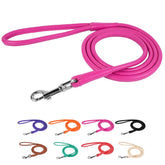 CollarDirect correa enrollada para perro, textura de cuero suave para paseos diarios