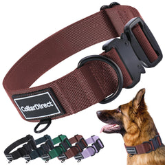 CollarDirect: correa de doble capa oxidada para perros activos y resistentes.