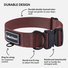 CollarDirect: correa para perros activos, uso exterior y mayor durabilidad.