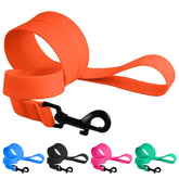 CollarDirect correa impermeable para perro en rosa, ideal para paseos en la lluvia.