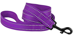 CollarDirect correa nylon 5ft con aro en D de carbono para entrenamiento.