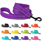 CollarDirect correa nylon 5ft con reflectante para paseos diarios seguros.