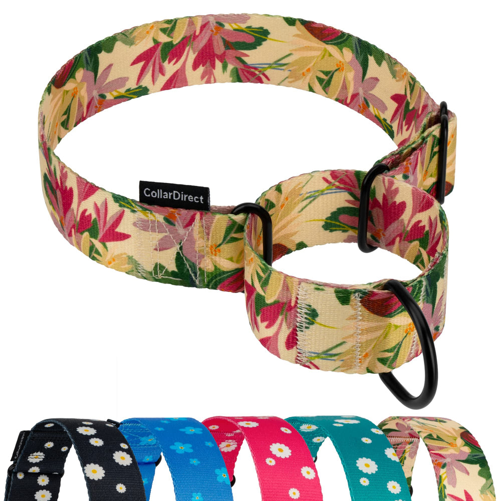 CollarDirect martingala para perros en diseño floral caramelo, cómodo para paseos diarios
