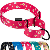CollarDirect Martingale floral pink: control suave durante el paseo