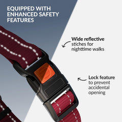 CollarDirect Martingale detalle reflectivo para mayor visibilidad nocturna.