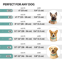 CollarDirect: perro grande con collar enrollado, duradero para aventuras al aire libre.