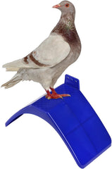 Coloch diseño-seguro: base redondeada protege manos y aves.