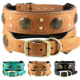 Collar Comfluxe de cuero naranja, vista frontal, ideal para perros medianos.