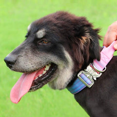 Collar táctico Comfluxe azul gradiente con alta visibilidad para exteriores