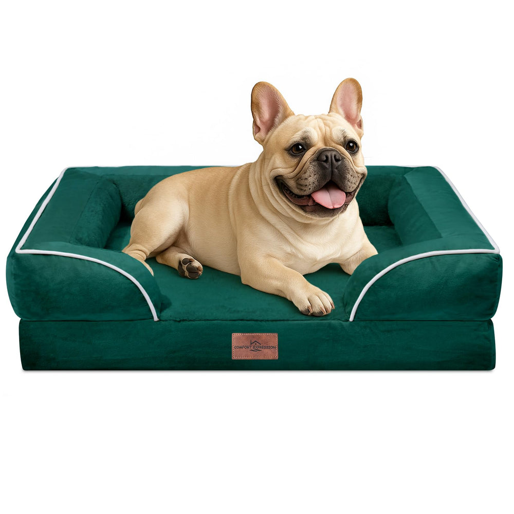 Comfort Expression cama ortopédica para perros medianos, vista general y estable al dormir