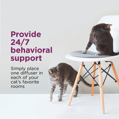 Diseño compacto del difusor Comfort Zone que se integra discretamente en casa.