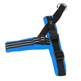 Arnés deportivo ComfortFlex sin tirones para perros activos durante paseos.