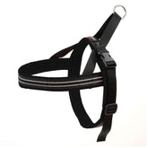 Arnés ComfortFlex Sport sin estrangulamiento para paseos activos.