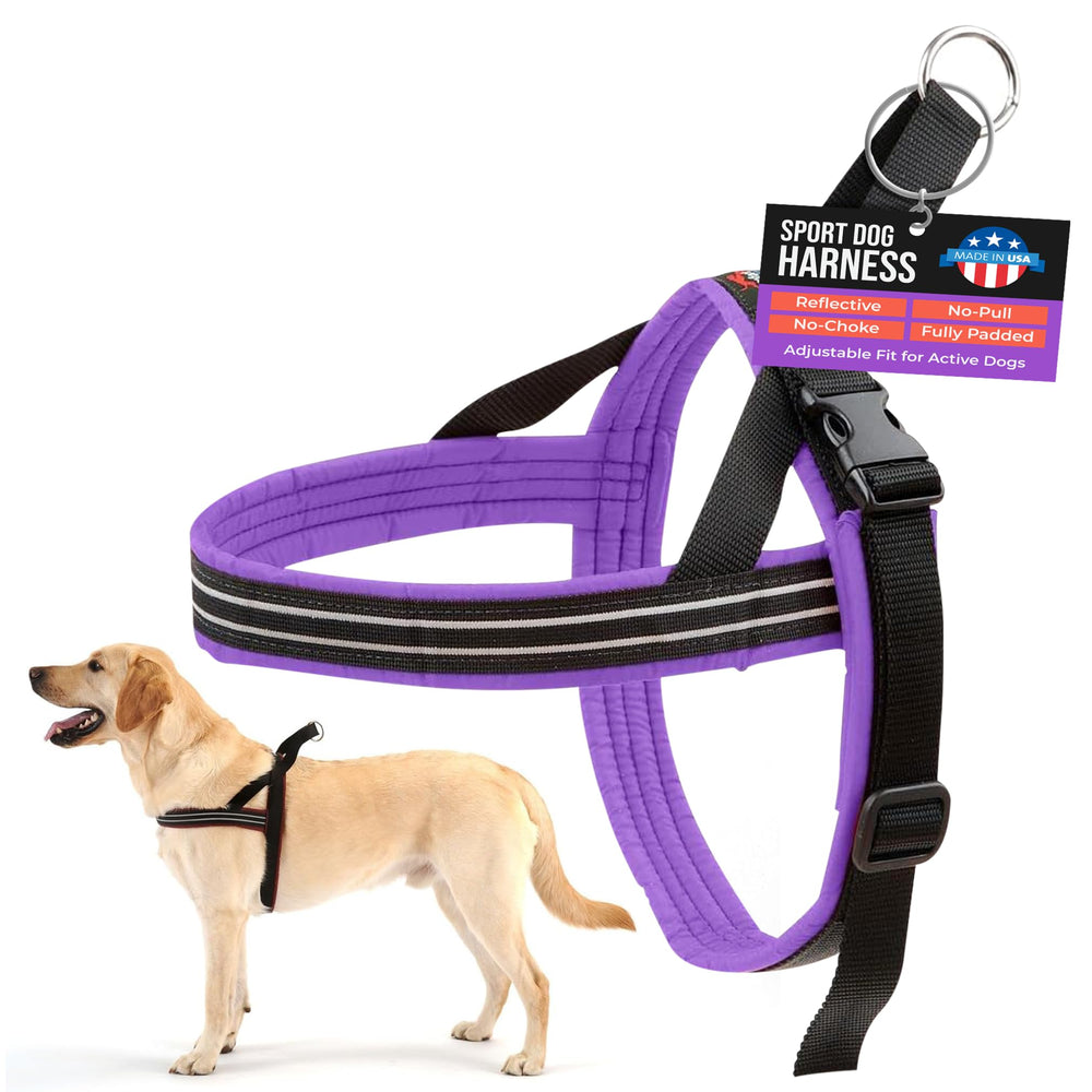 Arnés ComfortFlex Sport con dimensionamiento correcto para ajuste seguro en paseos