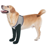 Calcetines Coodeo para patas delanteras: protección segura en casa.