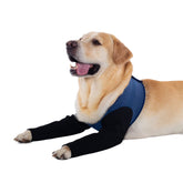 Coodeo manga recuperación perro azul XS protege heridas al aire libre.