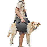 COODEO Portador para perros XL levantando al perro con soporte ergonómico.