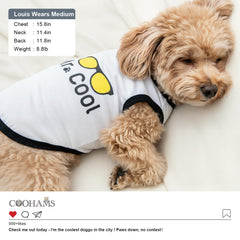 COOHAMS: guía de tallas para perros, ajuste fiable para perros pequeños y medianos.