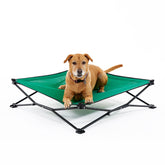 Cama para perro elevada de Coolaroo para viaje, descanso fresco.
