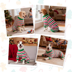 Pijama transpirable para perro CooShou, tejido elástico para comodidad.