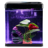 COOSPIDER tanque Betta 2 galones, vista general para escritorio, ideal para decorar.