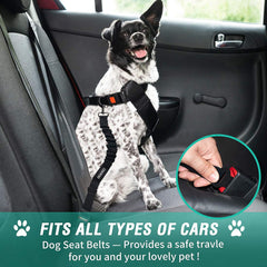 COOYOO cinturon seguridad perro auto, nylon resistente para uso diario.