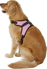 Copatchy arnés reflectivo con asa, seguridad visible en caminatas nocturnas.