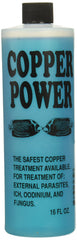 Copper Power Endich, botella azul, tratamiento para peces marinos para mantener el acuario estable.
