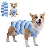 Coppthinktu mono de recuperación para perros con botones facilita vestirse.
