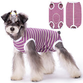 Coppthinktu traje de recuperación para perro, frente, ajuste cómodo para movilidad durante la recuperación.